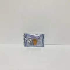 ウルフチャン　キーホルダー　skzoo シャカっとチャーム
