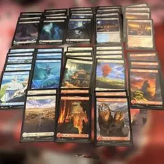 mtg FF バンドル 英語 foil 基本土地 Forest 森 6枚セット - メルカリ
