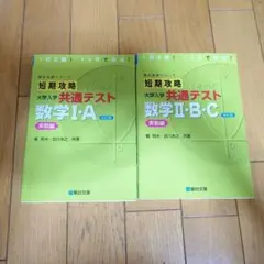 駿台文庫 短期攻略 大学入試共通テスト 数学IA IIBC 実践編 セットのサムネイル