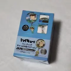 ハイキュー!! トレーディングチャーム付き缶バッジ vol.2 コンプリート