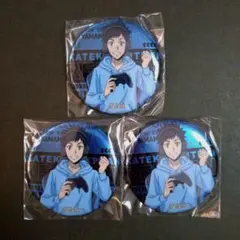 家庭教師ヒットマンREBORN! アニメイト特典 缶バッジ 3個セット