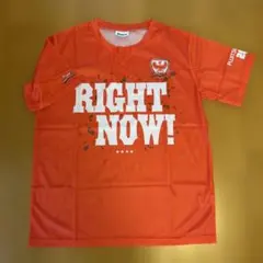 Item thumbnail for item 04edce63-0a7c-4d48-ab9f-88b50777e3c3