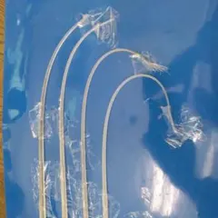 Item thumbnail for item 31a3f0fb-1ef5-425b-b233-3c579e96c863