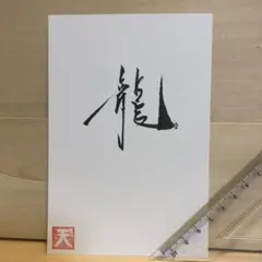 魁 三国志大戦 孫堅役 小山力也 サイン色紙 証明付き - メルカリ