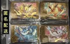 ポケモンフレンダ　ベストタッグ　ブイズコンプリート
