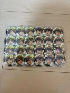 あんさんぶるスターズ 缶バッジ 5周年 24個セット 高峯翠 守沢千秋