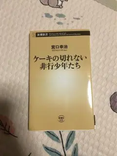 ケーキの切れない非行少年たち