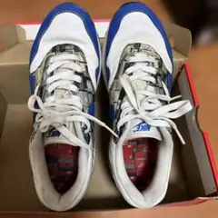 Nike スニーカー ホワイト/ブルー