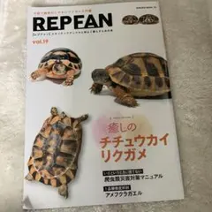 【表紙角折れ】REPFAN vol.19 癒しのチチュウカイリクガメ