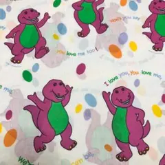 バーニー ヴィンテージ カーテン シーツ のれん アメトイ ビンテージ 生地