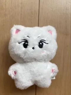 enhypen ジョンウォン 10cm ぬいぐるみ 新品 マスター - メルカリ