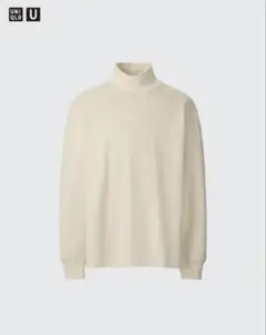 ブラッシュドモックネックtシャツ 長袖カットソー