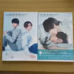 美しい彼　公式ビジュアルブック　2冊