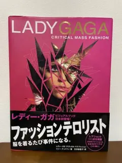 新品　未開封　レディーガガ　写真集　ツアーパンフレット　クリアファイル　ガガ 新品 未開封 レディーガガ 写真集 ツアーパンフレット クリア