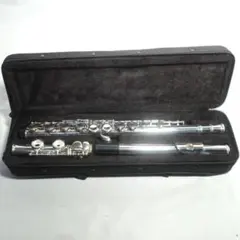 2026年最新】楽器 フルートの人気アイテム - メルカリ