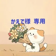 かえで様　専用(3/5迄)