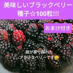 紅咲❀プロフィールご一読願います様 リクエスト 2点 まとめ商品