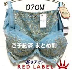 ✴︎D70M レッドレーベル バイ トリンプ 寄せアゲハ ブラ＆ショーツBlue