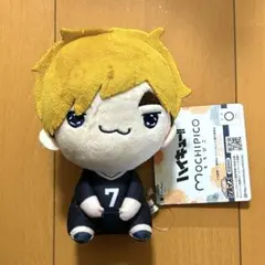 ハイキュー!!　もちぴこ　ぬいぐるみ　宮侑
