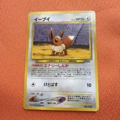 ポケモンカード旧裏イーブイ プレミアムファイル2 PROMO 第2世代