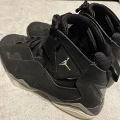 Jordan エアジョーダン Air Jordan True Flight