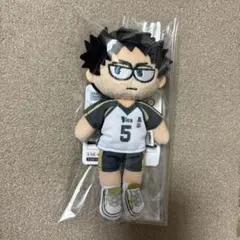 【本日限定値下げ】ハイキュー ジロリ ぬいぐるみ 赤葦京治