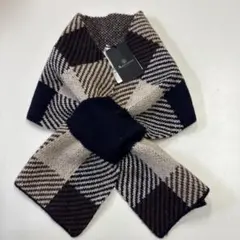 アクアスキュータム マフラー