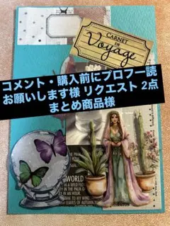 コメント・購入前にプロフ一読お願いします様 リクエスト 2点 まとめ商品