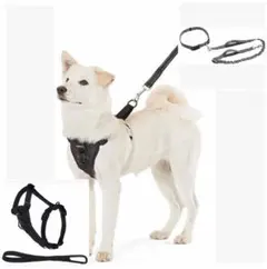【 未使用 】リード＆ ハーネス　中型犬用　ハンズフリー伸縮リード、ハーネス　黒のサムネイル