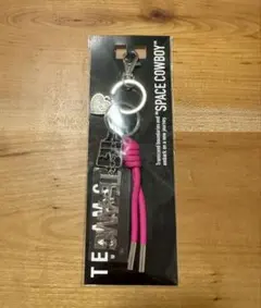 Item thumbnail for item 0669dd69-22d7-4254-86c1-48bfa14fa88e