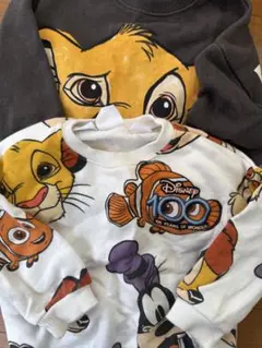 ディズニー　zara