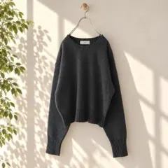 ★美品◆スローブイエナ◆ echecs クルーネックプルオーバー