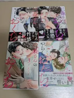 ＢＬ本 28冊セット BL本28冊セット バラ売り不可 BLコミック ボーイズラブ 漫画