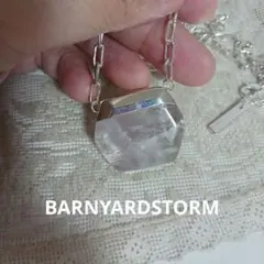 うぃる様専用♥BARNYARDSTORM 天然石 ネックレスのサムネイル