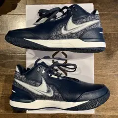 レブロンネクストジェン29cm NIKEバッシュ＋未使用インソール3足分
