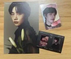 theboyz Necter トレカ ポストカード ニュー