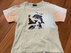 クレードスコープ　半袖Tシャツ　120cm