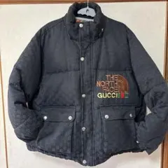 【希少】GUCCI❌THE NORTH FACE コラボ　ダウンジャケット