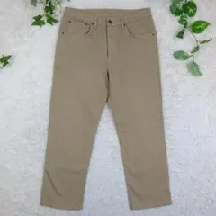 エドウィン　S503　レーヨンソフトフレックス レギュラーストレート　36