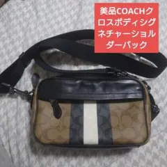 Coach クロスボディネーチャーショルダーバッグ ブラウン