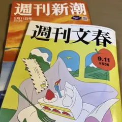 Item thumbnail for item dad815d7-ed62-4535-b8bf-ec5b0e11fd8d