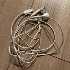 【Apple 純正:動作不良なし】Lightning接続 有線イヤホン