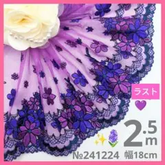 【ラスト】№241224 チュールレース