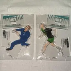 ハイキュークロニクル　アクスタ二口、青根