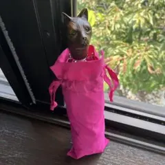 ギ・ドン・ジャン 猫モチーフハンドル 折りたたみ傘 晴雨兼用 ピンクのサムネイル