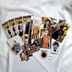 【ハイキュー】月島蛍・山口忠セット