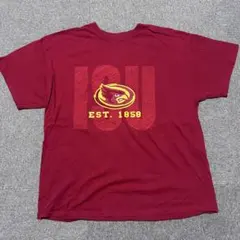 ギルダン　GILDAN アリゾナ・カーディナルズ Tシャツ XL バーガンディ