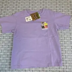 Item thumbnail for item ae3456e3-3d21-442d-8836-79a58ec70431