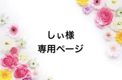 【しぃ様 ご専用 】筆文字お名前アート(命名書)