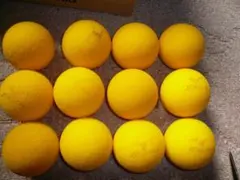 Item thumbnail for item af98a13d-bb0d-469a-bdcb-3938f8da482f